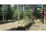 0 Ohio Gulch Trl - Photo 12