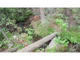 0 Ohio Gulch Trl - Photo 9