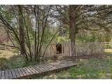 28942 Shadow Mountain Dr - Photo 37