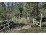 28942 Shadow Mountain Dr - Photo 44