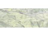 0 Silver Dollar Lode - Photo 4
