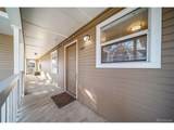 1267 Gilbert St - Photo 31