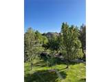 8848 Kipling Way - Photo 34