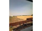 14831 Dahlia Way - Photo 48