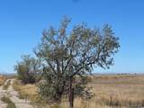  Tbd Strasburg Road - Photo 15