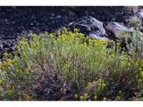 5 Canyon Rd - Photo 10