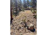 260 Saddle Trl - Photo 13