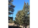 260 Saddle Trl - Photo 17