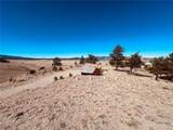 260 Saddle Trl - Photo 6