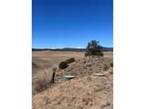 260 Saddle Trl - Photo 7