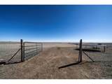10095 Wagner Rd - Photo 8