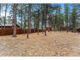 109 Flagstick Dr - Photo 15