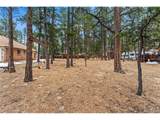 109 Flagstick Dr - Photo 16