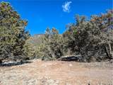 4229 Radiant - Photo 10