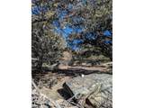 4229 Radiant - Photo 11