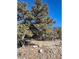 4229 Radiant - Photo 13