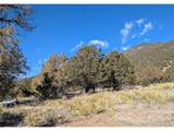 4229 Radiant - Photo 6