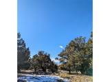4229 Radiant - Photo 7
