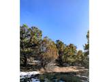 4229 Radiant - Photo 8