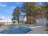 7883 Allison Way - Photo 28