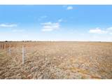 28350 Washington Rd - Photo 13