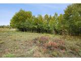 18003 Vista Dr - Photo 8
