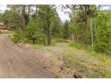 31429 Burke Rd - Photo 11