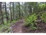 31429 Burke Rd - Photo 12
