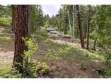 31429 Burke Rd - Photo 13