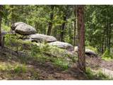 31429 Burke Rd - Photo 16