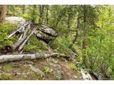 31429 Burke Rd - Photo 18