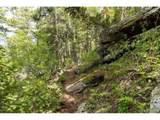 31429 Burke Rd - Photo 20