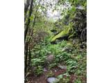 31429 Burke Rd - Photo 22