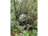 31429 Burke Rd - Photo 23