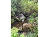 31429 Burke Rd - Photo 24