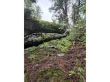 31429 Burke Rd - Photo 26