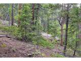 31429 Burke Rd - Photo 27