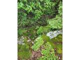 31429 Burke Rd - Photo 43