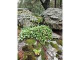 31429 Burke Rd - Photo 44