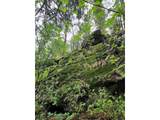 31429 Burke Rd - Photo 45