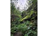 31429 Burke Rd - Photo 46