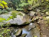 31429 Burke Rd - Photo 48