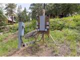 31429 Burke Rd - Photo 9