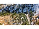 4324 Fourmile Canyon Dr - Photo 5