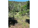 779 County Road 48 - Photo 4