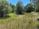 779 County Road 48 - Photo 7