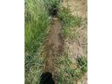 779 County Road 48 - Photo 8