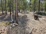 426 Sequoia Dr - Photo 12