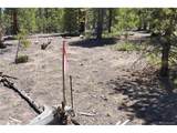 426 Sequoia Dr - Photo 13
