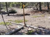 426 Sequoia Dr - Photo 14
